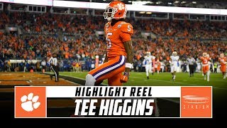 Clemson WR Tee Higgins Highlight Reel - 2019 Season | Stadium