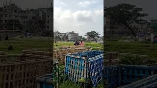 শহীদ বুদ্ধিজীবী কবরস্থান || Martyred Intellectuals Grave Yard || Mirpur, Dhaka, Bangladesh.