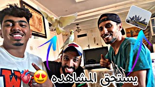 فيلم وثائقي 🎥 تعرف علي حياة مربي وعاشق حمام الفعل 🕊 ( عندو كلوبسيت كيعيش مع الحمام سبحان الله 😍)