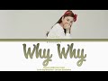 Shannon Williams (샤넌) - ‘Why Why (왜요 왜요)' Lyrics 가사 (Color Coded Han/Rom/Eng)