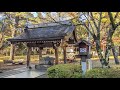 Exploring Takeda-jinja  Shrine: A Day of Serenity in Japan