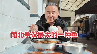 云南乡村饭店23年只做一道菜，酸辣大鲤鱼18元一斤，素菜免费送