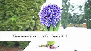 Eine wunderschöne Gartenzeit  !