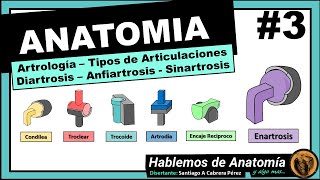 🔴 #3 👉 ANATOMÍA 🟩 ARTROLOGIA 🟪  CLASIFICACION DE LAS ARTICULACIONES 🟥  TIPO DE ARTICULACIONES