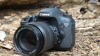 Canon EOS 7D - Обзор Продвинутой Репортажной Камеры Среднего Ценового Диапазона