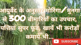 मुनगा, मोरिंगा,सहजन पोषण से भरपूर, पृथ्वी का सुपरफूड, 300 से ज्यादा बिमारियों का उपचार#moringa