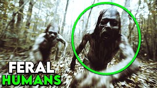 First Encounter: Creatures Spotted on Trail Cam Footage