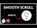 Easily add SMOOTH SCROLL for Free with Lenis js - Elementor and Wordpress Tutorial