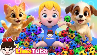 ベッドでジャンプする5匹のサル 🐵⚽