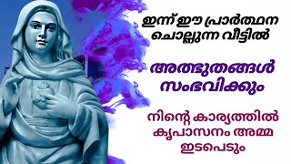 3 ആവശ്യങ്ങൾ സമർപ്പിച്ചുള്ള നിയോഗ പ്രാർത്ഥന 🙏17/12/24  #kripasanam  #kreupasanam #കൃപാസനം