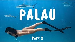 PALAU VLOG PART 2｜與鯊魚共遊｜水母星球｜百年干貝城