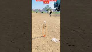 ball throw in in wicked centre #cricket #YouTube#shots