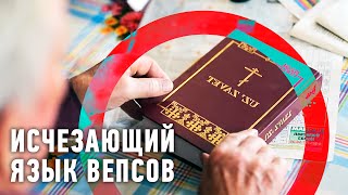 Исчезающий язык вепсов | Редкие люди 🌏 Моя Планета