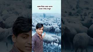 বরফ দিয়ে বেড়া গুলো ঢেকে গেছে দেখুন #shorts #youtubeshorts #viralvideo