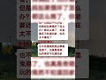 悔不当初的母亲 语音情感聊天记录 家庭情感故事 家庭婚姻情感