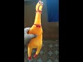 chicken toy sound