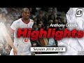 Anthony Goods Season Highlights 2018-2019