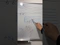 吉他零基础教学认识吉他谱 吉他自学 吉他教学 零基础吉他教学 guitar solo music guitar teaching