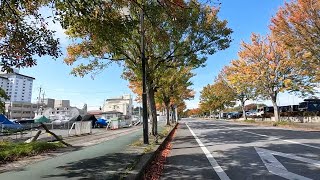 Daytime cycling around Biwa Lake from Otsu St., Shiga Pref., Japan / 2.7K 60fps / Day2 Part3