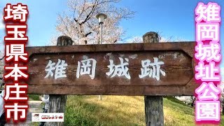 【雉岡城址】【本庄市】雉岡城址公園（埼玉県本庄市）