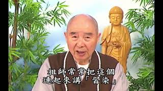 (388)為何我們的心不平等?-淨空法師(粵語配音)法音普薰集