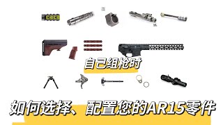 【王老师聊枪】AR15半自动步枪（十一）自己组装AR15时如何选择、配置、购买零件（附配置清单）