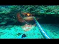 spearfishing the wreck of the