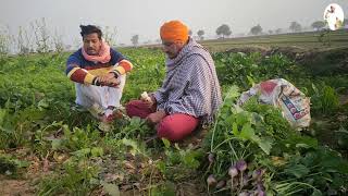 ਬੀਬਾ ਖੁਸਕੀ ਮਾਰ ਗਈ | new video | Punjabi Short Movie| Dhillon Bathinde aala| Mandeep Dhillon|