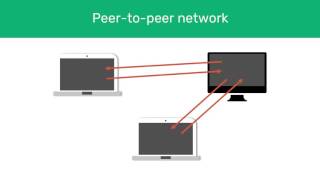A-Level Comp Sci: Types of Networking