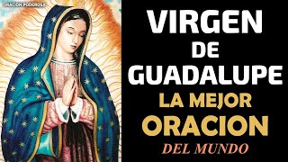La mejor oración del mundo a la Virgen de Guadalupe