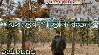 বসন্তের শান্তিনিকেতন | Sonajhuri haat এবং Salbuni | শান্তিনিকেতনের রং এর বাহার | Beauty of autumn