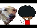 “BUTTER DOG” Animated