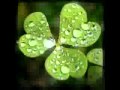 Native Deen - Rain Song.avi