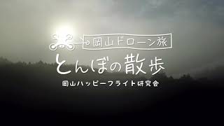 とんぼの散歩第59回　雲海　とんぼハウス