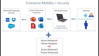 What is Microsoft EMS ?