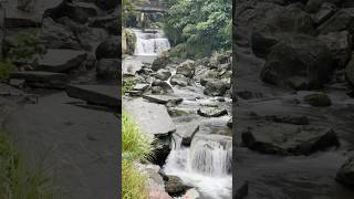 大溪永福溪岩盤🏞️山豬湖生態親水園區😁😍🥰