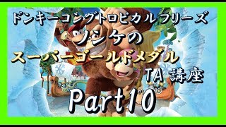 【ねねし実況】DKトロピカルフリーズ実況プレイ part10【TA講座】