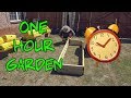 Home Vegetable Garden - One Hour Garden