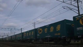 貨物列車1051レ《空コキ1両の惜しい編成！》EF210-162　16.3.24