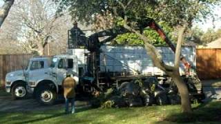 Dallas Sanitation's CLAW in action