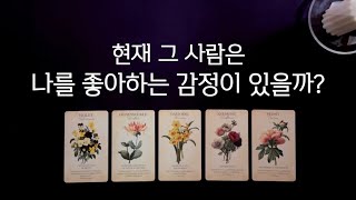 [타로] 그 사람은 나를 좋아할까?👀 상대방이 보는 나, 앞으로 다가올지 확인해보세요🔮