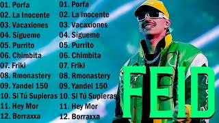 LAS MEJORES CANCIONES DE Feid || Feid Mix Exitos 2023 - Mix Canciones Reggaeton 2023 (Letra/Lyric)