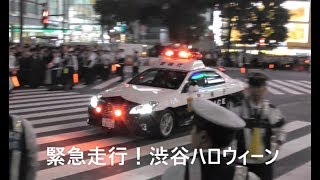 ハロウィン緊急走行!! 緊迫の渋谷スクランブル交差点をパトカー激走!! Responding police cars Halloween Shibuya scramble!!