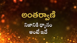 అంతర్వాణి  | నిజానికి ధ్యానం అంటే ఇదే  | Heartfulness |  29-07-2022