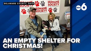 Humane Society finds homes for 99 dogs this Christmas