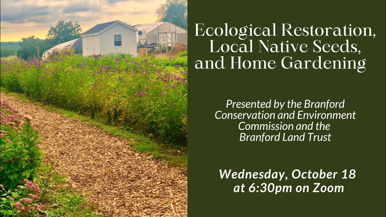 Ecological Restoration Local Native Seeds And Home Gardening Youtube