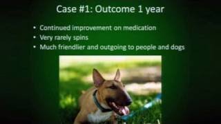 Zoobiquity: OCD and General Anxiety Disorder in Humans/Dogs