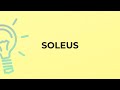 What is the meaning of the word SOLEUS?