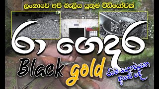 රා ගෙදර Black Gold ,අපි අනිවාර්යෙන් දැනගත යුතුම දෙයක්.රටම ගොඩයන මගක්.මිණිරන් නැත්නම් කළු රත්තරං ..