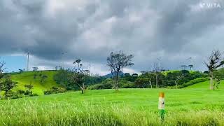 Experience the Breathtaking Beauty of Ambewela, Sri Lanka 🌿 | Nature, Mountains \u0026 Scenic Roads